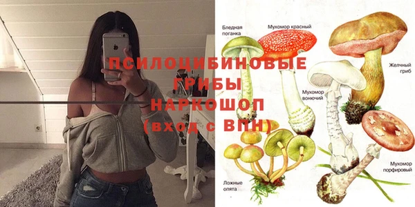 героин Алзамай
